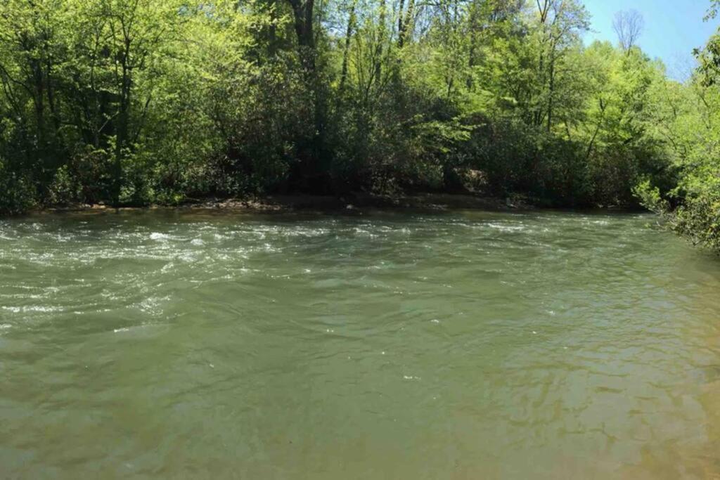 Cabin Fever On Cartecay River Ellijay Zewnętrze zdjęcie